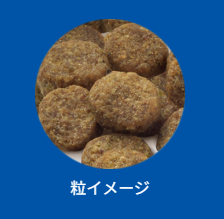 セレクトバランス　グレインフリー　アダルト　サーモン　小粒　6kg