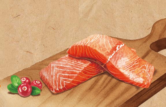 セレクトバランス　グレインフリー　アダルト　サーモン　小粒　6kg