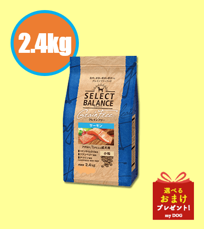 セレクトバランス　グレインフリー　アダルト　サーモン　小粒　2.4kg