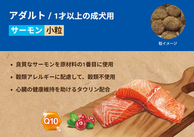 セレクトバランス　グレインフリー　アダルト　サーモン　小粒　2.4kg