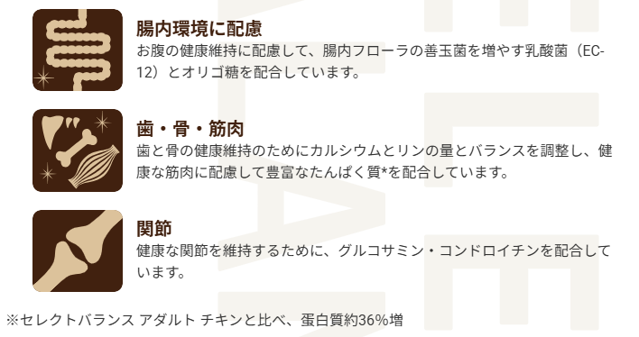 セレクトバランス　グレインフリー　アダルト　サーモン　小粒　2.4kg