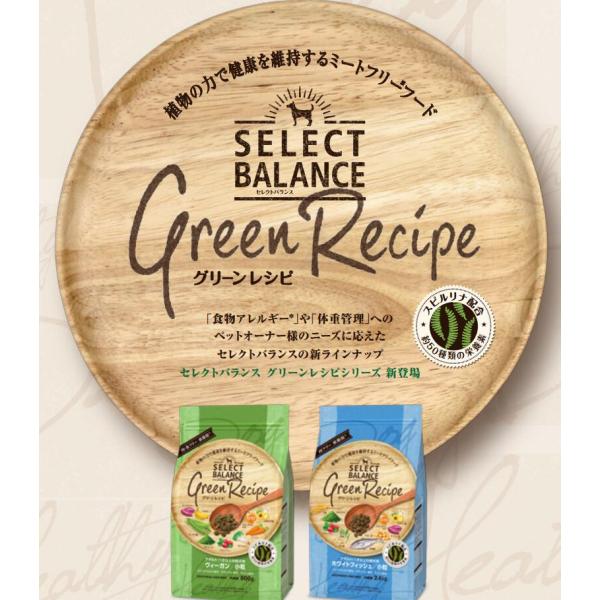 セレクトバランス　グリーンレシピ　ヴィーガン　800g