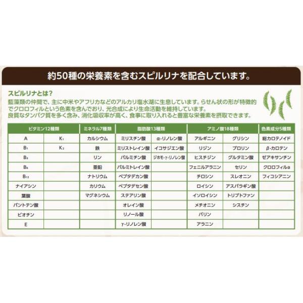 セレクトバランス　グリーンレシピ　ヴィーガン　800g
