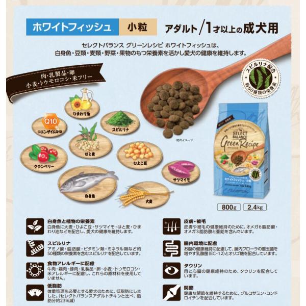 セレクトバランス　グリーンレシピ　ホワイトフィッシュ　2.4kg
