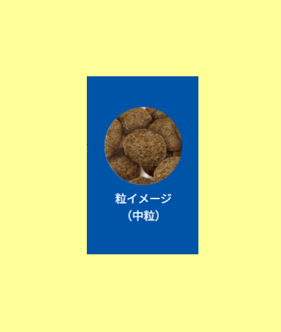 セレクトバランス　アダルト　チキン　中粒　3kg