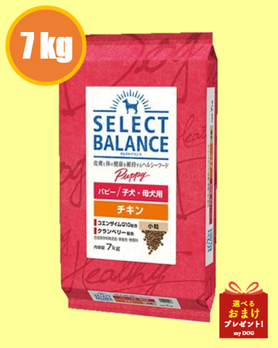 セレクトバランス　パピー　チキン　小粒　7kg