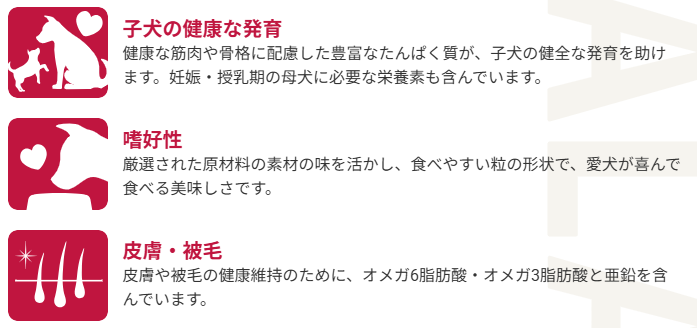 セレクトバランス　パピー　チキン　小粒　7kg