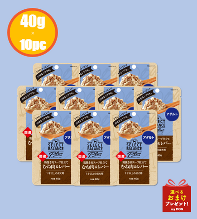 セレクトバランスplus　鶏挽き肉スープ仕立て むね肉＆レバー  アダルト/1才以上の成犬用　40g×10パック