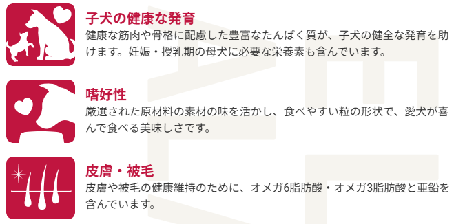 セレクトバランス　パピー　チキン　小粒　1kg