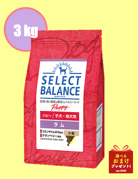 セレクトバランス　パピー　ラム　小粒　3kg