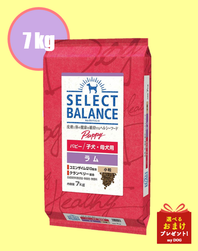 セレクトバランス　パピー　ラム　小粒　7kg