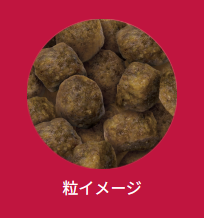 セレクトバランス　パピー　ラム　小粒　7kg