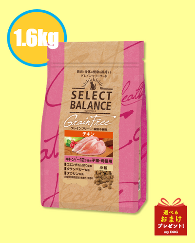 セレクトバランス　グレインフリー　猫　キトン　チキン　小粒　1.6kg