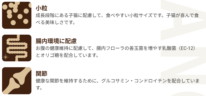 セレクトバランス　グレインフリー　猫　キトン　チキン　小粒　1.6kg