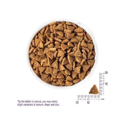 ウェルネス　ヘルシーバランス　小型用　高齢犬　骨抜七面鳥　4.5kg　【お取り寄せ】