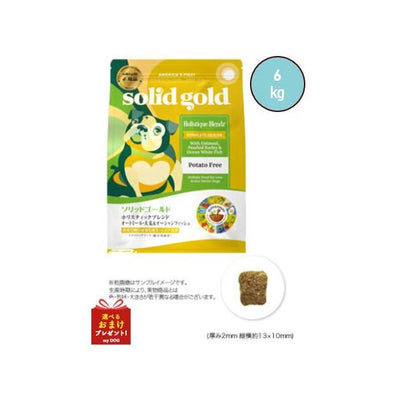 ソリッドゴールド　ホリスティックブレンド　6kg　