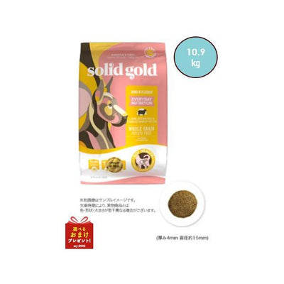 ソリッドゴールド　フントフラッケン　10.9kg