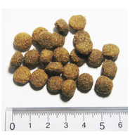 【正規品】　アーガイルディッシュ　エバーラスティング　シニア　4kg