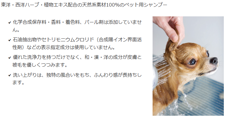 自然流　トリートメント　2L