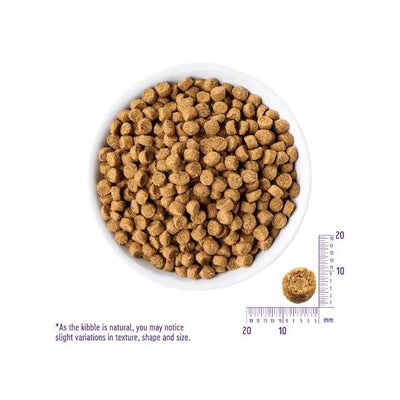 ウェルネス　ヘルシーバランス　小型　成犬用　骨抜き七面鳥　4.5kg　【お取り寄せ】