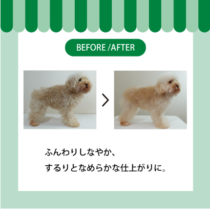 APDC　ティーツリーシャンプー　500ml