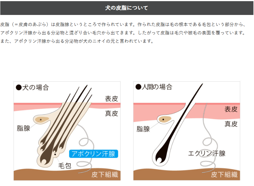 APDC　ティーツリーシャンプー　5L