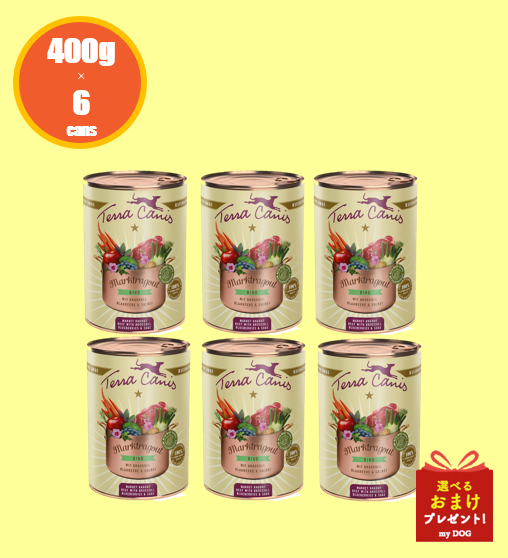 テラカニス　マーケットラグー　ビーフ　385g×6缶