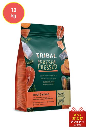 トライバル　フレッシュサーモン　12kg