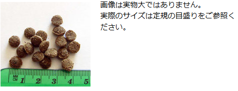 【正規品】　アーガイルディッシュ　ワトル　キャット　8kg　【4kg×2】