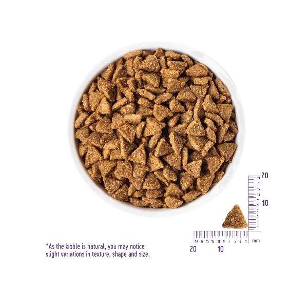 ウェルネス　ヘルシーバランス　小型　犬体重管理用　骨抜七面鳥　1.5kg　【お取り寄せ】